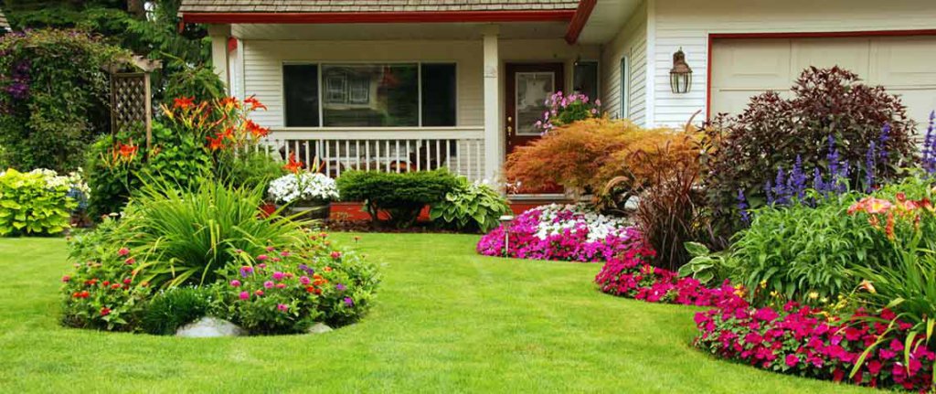 perfect home lawn and garden
