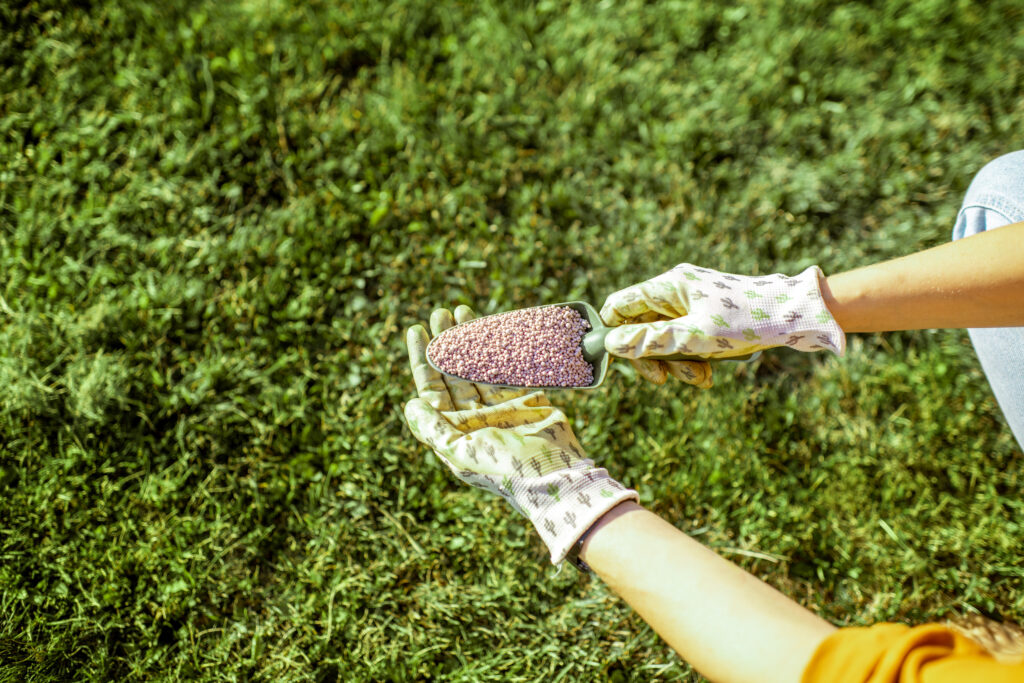 Fertilizer for grass growth