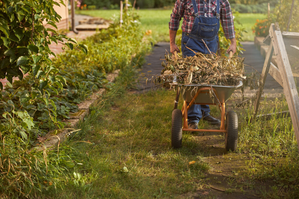 Wheel Barrow full of compostable materials