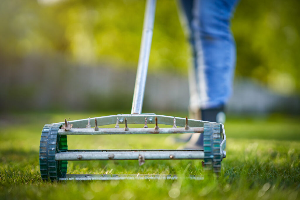 Lawn Aeration