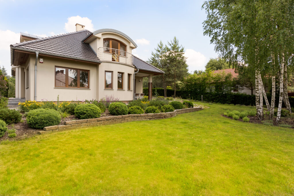 dethatched lawn