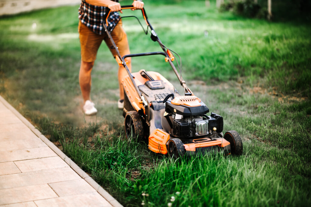 Gardening and landscaping Madison