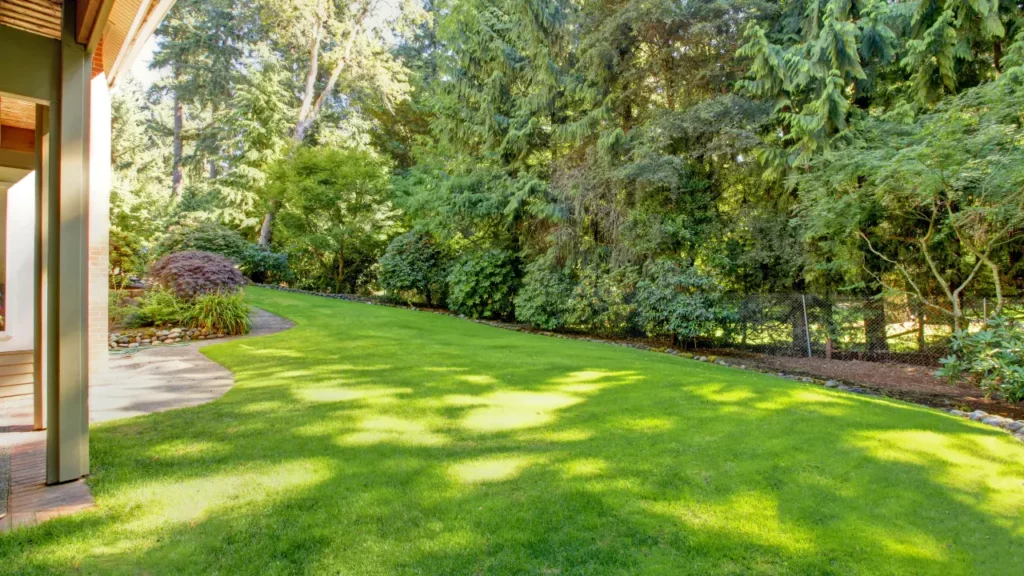 Cultural Tips to Keep Your Lawn Healthy!